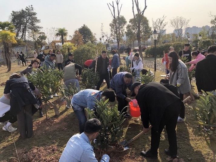 景德镇水务公司组织开展植树活动