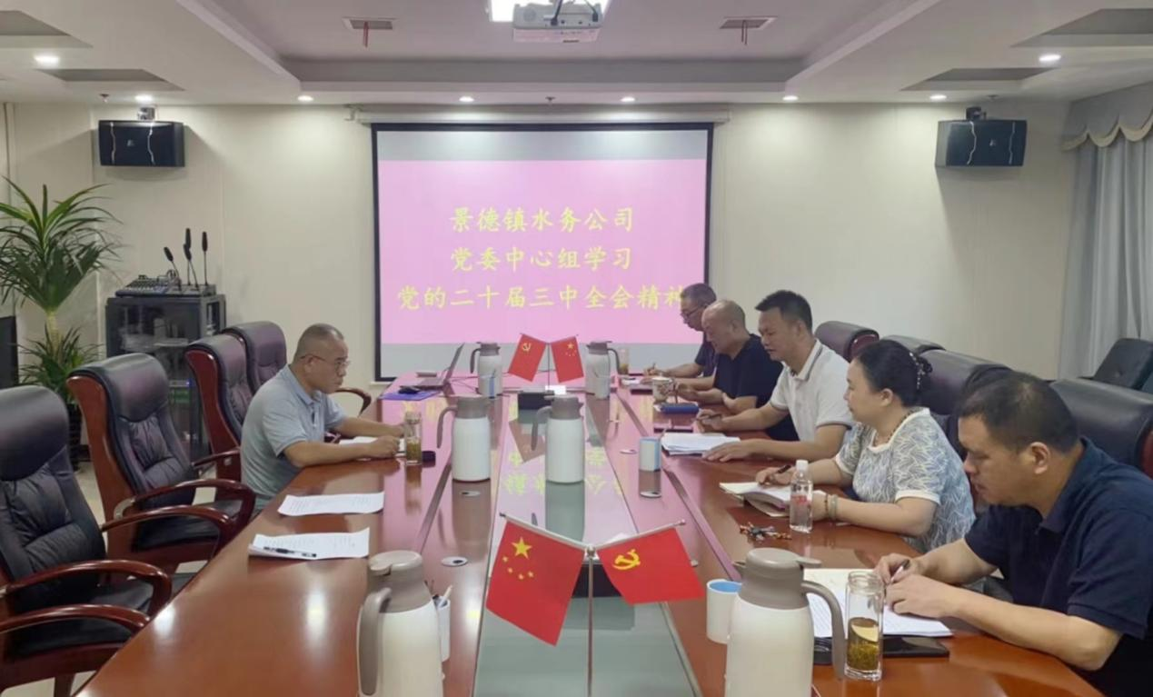 景德镇水务公司党委召开会议 传达学习贯彻党的二十届三中全会精神